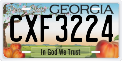 GA license plate CXF3224