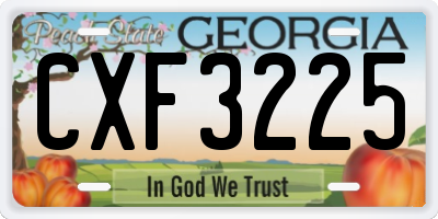 GA license plate CXF3225
