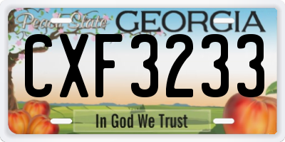 GA license plate CXF3233