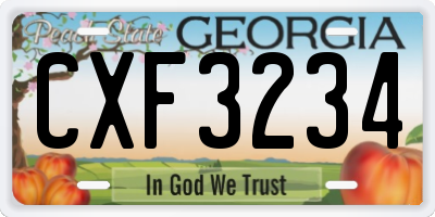 GA license plate CXF3234