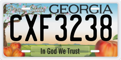 GA license plate CXF3238