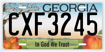 GA license plate CXF3245