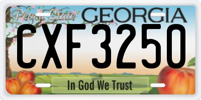 GA license plate CXF3250