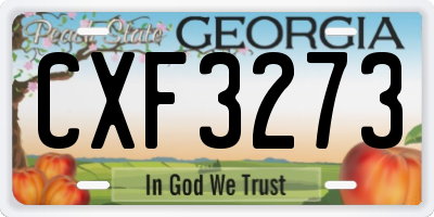 GA license plate CXF3273