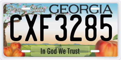 GA license plate CXF3285