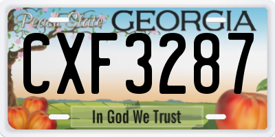 GA license plate CXF3287