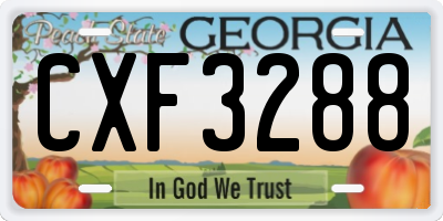 GA license plate CXF3288