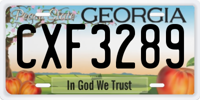 GA license plate CXF3289