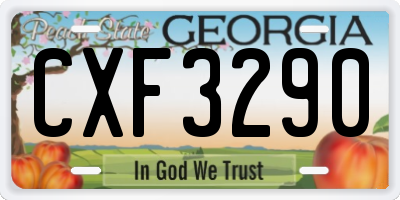 GA license plate CXF3290