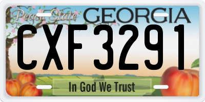 GA license plate CXF3291