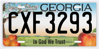GA license plate CXF3293