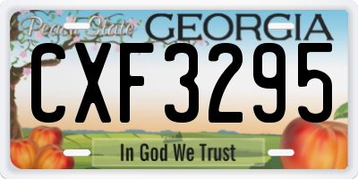 GA license plate CXF3295