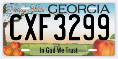 GA license plate CXF3299