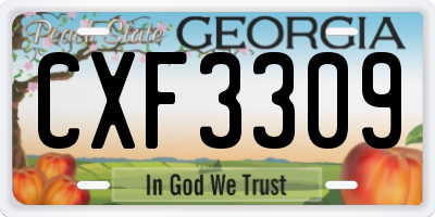 GA license plate CXF3309
