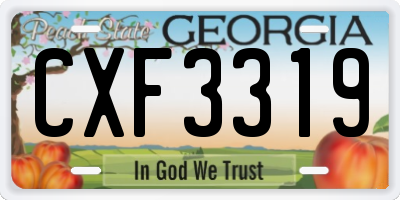 GA license plate CXF3319