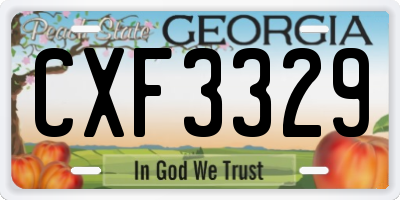 GA license plate CXF3329