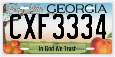 GA license plate CXF3334
