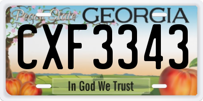GA license plate CXF3343