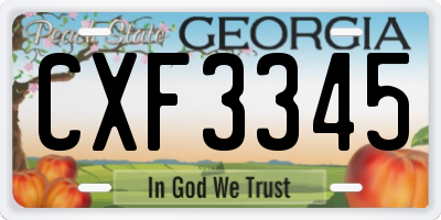 GA license plate CXF3345