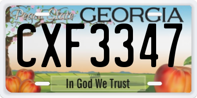 GA license plate CXF3347