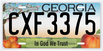 GA license plate CXF3375