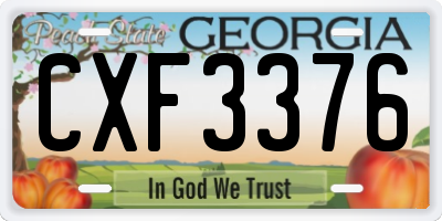 GA license plate CXF3376