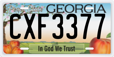 GA license plate CXF3377