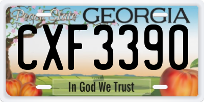 GA license plate CXF3390