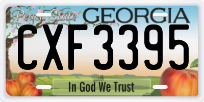 GA license plate CXF3395