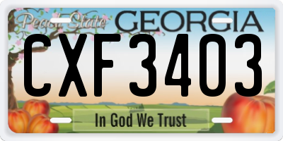 GA license plate CXF3403