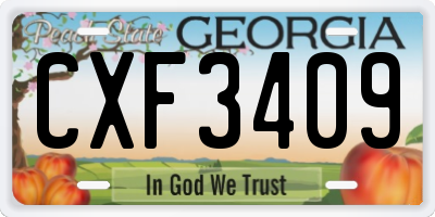 GA license plate CXF3409