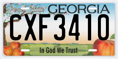 GA license plate CXF3410