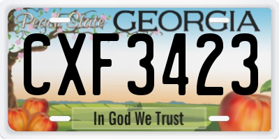 GA license plate CXF3423