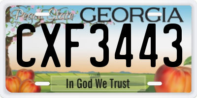 GA license plate CXF3443