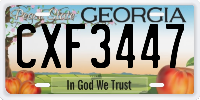 GA license plate CXF3447