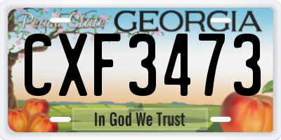 GA license plate CXF3473