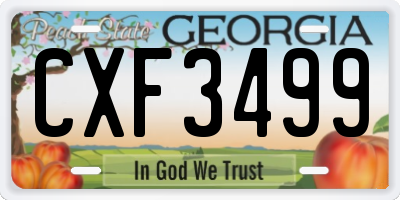 GA license plate CXF3499