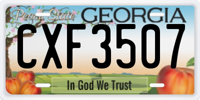 GA license plate CXF3507