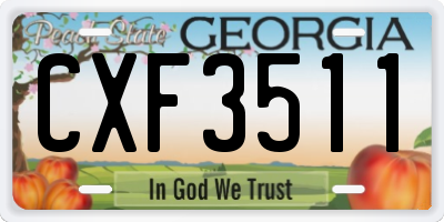 GA license plate CXF3511