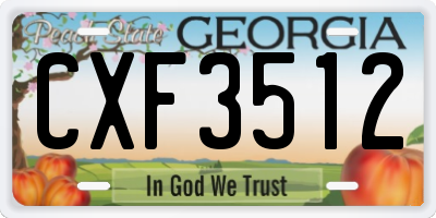 GA license plate CXF3512