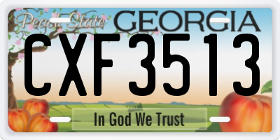 GA license plate CXF3513