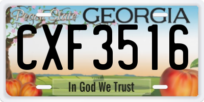 GA license plate CXF3516
