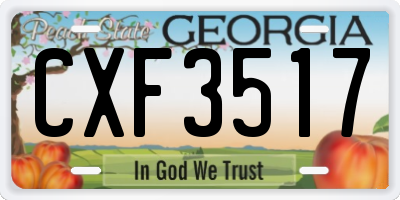 GA license plate CXF3517
