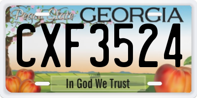 GA license plate CXF3524