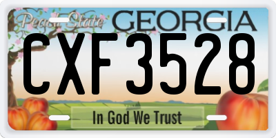 GA license plate CXF3528