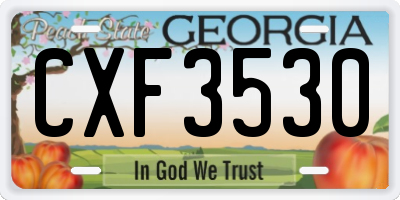 GA license plate CXF3530