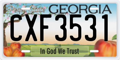 GA license plate CXF3531