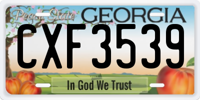 GA license plate CXF3539