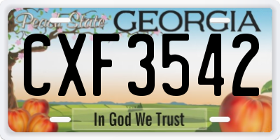 GA license plate CXF3542