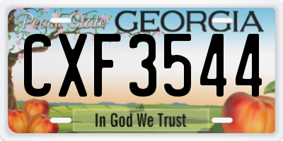 GA license plate CXF3544
